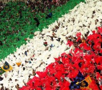 ITALIA-BULGARIA . ALLENAMENTO AL BARBERA ITALIA-BULGARIA . ALLENAMENTO AL BARBERA