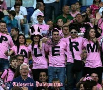 Numeri provvisori maglie Palermo Numeri provvisori maglie Palermo