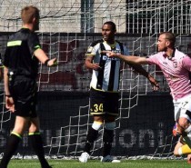 Rosanero siamonoi del 17 Aprile 2015 Rosanero siamonoi del 17 Aprile 2015