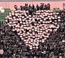 Palermo -Verona ore 21.00. La voce dei tifosi (VIDEO)