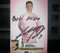 Auguri di Buon 2019 ! Auguri di Buon 2019 !