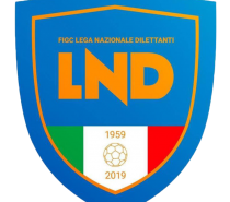 Criteri definizione esiti Campionati LND 2019-20 Criteri definizione esiti Campionati LND 2019-20