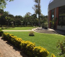 Lettera dei Circoli Sportivi a Musumeci Lettera dei Circoli Sportivi a Musumeci