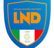 LND. Il Consiglio di Lega Dilettanti riunito … i criteri per decidere .. LND. Il Consiglio di Lega Dilettanti riunito … i criteri per decidere ..