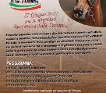 “Oltre le barriere” al Campo ostacoli della Favorita a Palermo (VIDEO) “Oltre le barriere” al Campo ostacoli della Favorita a Palermo (VIDEO)