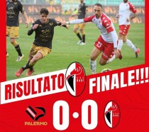 Palermo- Bari 0-0. Occasione persa (2 VIDEO) Palermo- Bari 0-0. Occasione persa (2 VIDEO)