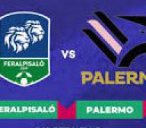 FeralpiSalò – Palermo 0-3 (VIDEO) FeralpiSalò – Palermo 0-3 (VIDEO)