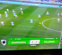 Sampdoria-Palermo 1-1 Bari pari a Sassuolo (VIDEO) Sampdoria-Palermo 1-1 Bari pari a Sassuolo (VIDEO)