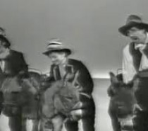 Chi vuole capire capisca (VIDEO) Chi vuole capire capisca (VIDEO)