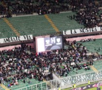 Palermo – Carrarese 1-1 Ora ottavi (Video) Palermo – Carrarese 1-1 Ora ottavi (Video)